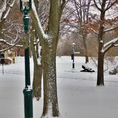 Plaines d'Abraham en hiver., promeneurs.