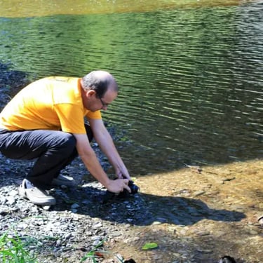 marhart, jaune, prles d'une rivièere