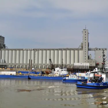 Vieux port, remorqueurs.