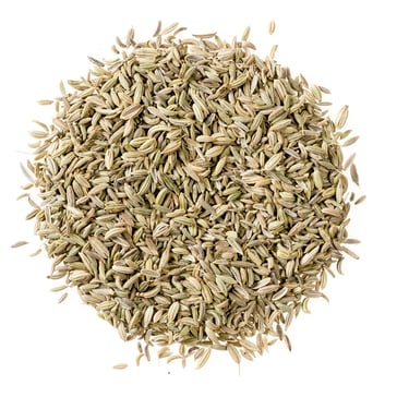 Fennel seeds trader