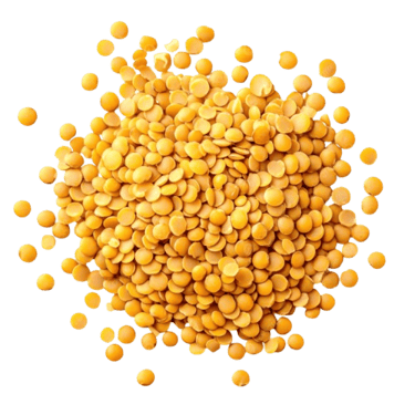 toor dal trader