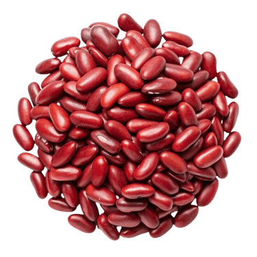 kidney beans trader