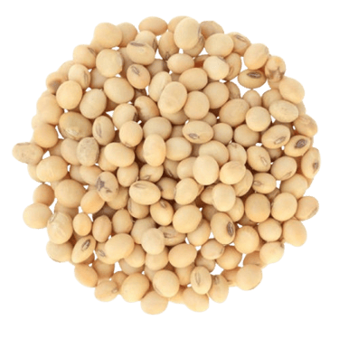 soyabeans trader