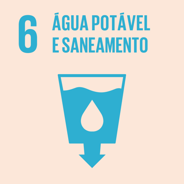 Objetivos de Desenvolvimento Sustentável - 6: Água Potável e Saneamento