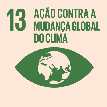 Objetivos de Desenvolvimento Sustentável - 13: Ação Contra a Mudança Global do Clima