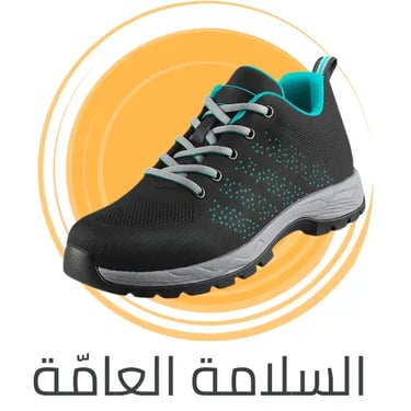 السلامة العامة