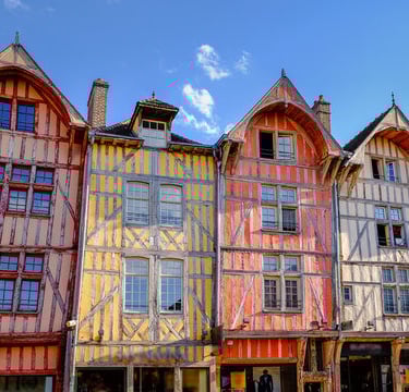 appartement Champenois en vente immobilier