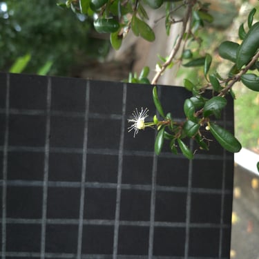 July, Miami-Dade County, FL