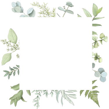 cadre feuilles nature