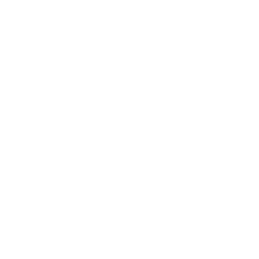 LOGO CHEMICAL NOISE