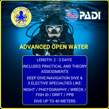 PADI Advanced Open Water certification in Gili Trawangan: choose from Deep, Navigation, Night, Photography, Wreck, Fish ID.