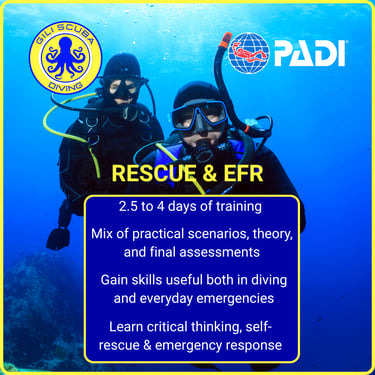 PADI Rescue Diver and EFR course at Gili Scuba Diving: 2.5 to 4 days of training, including theory, pool, and open water