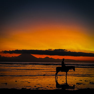 Breathtaking Gili Trawangan sunset with horse on the beach, capturing the true island paradise ambiance.