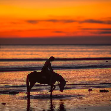 Iconic Gili Island life: a horse on the beach at sunset, embodying the relaxed paradise atmosphere.