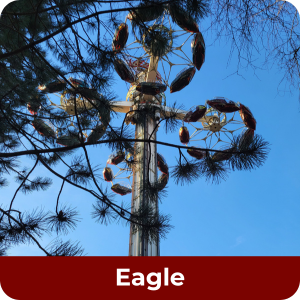 eagle