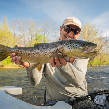 24" Watauga River Brown Trout: Fly Fishing April Caddis Hatch