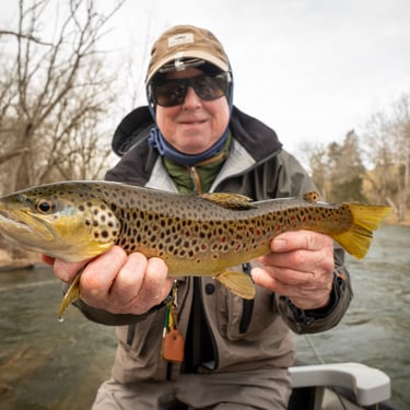 Brown trout fishing in February on the South Holston