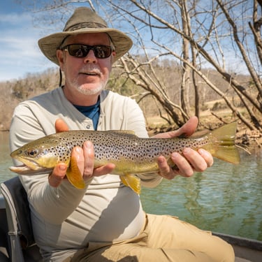 Brown Trout on the Quality Section on the Watauga River March 2025