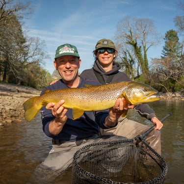 Big South Holston River Brown Trout: April Trout Fishing