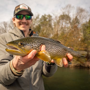 March Fly Fishing on the Watauga River in Tennessee