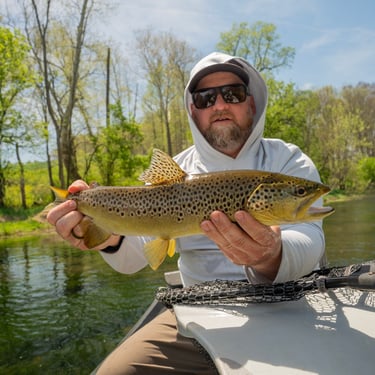 Brown Trout, Tennessee. Fly Fishing