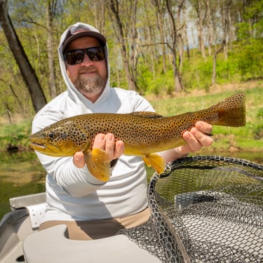 South Holston River Wild Brown Trout