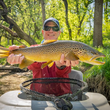 23" South Holston River Brown Trout, April Fly Fishing Report