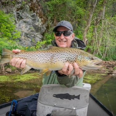 24" Brown Trout: South Holston River Bristol Tennessee. April 2026