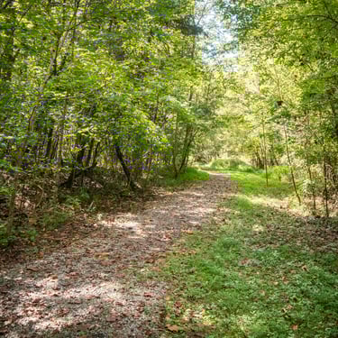 Tailwaters Trail on the South Holston River