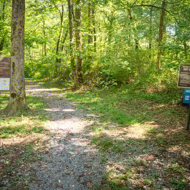 Bouton Trail, also known as the Cul-da-sac wading area on the South Holston River