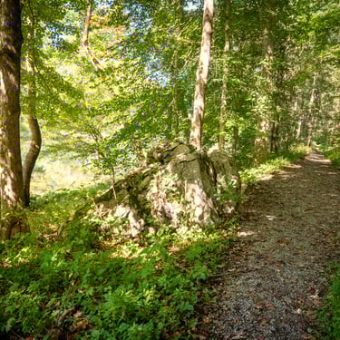 Big Springs Trail on the South Holston River
