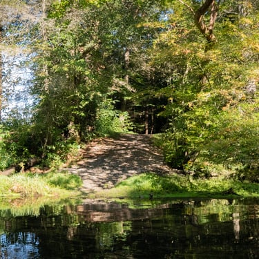 Wade in access from the Bouton Trail on the South Holston River