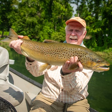 South Holston River Big Brown Trout