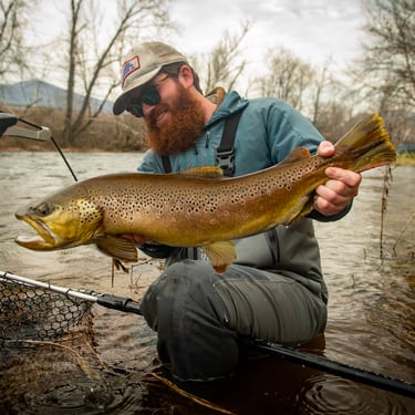 Big brown trout while streamer fishing in Tennessee.