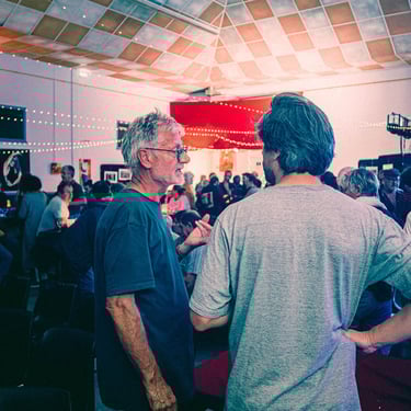 Ambiance d’un concert en salle à Pau capturée en images.