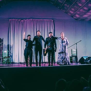 Reportage photo et vidéo d’un concert à Pau.