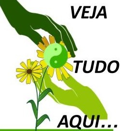 Veja Tudo Aqui