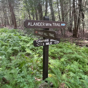 Alander Mountain Trail signpost