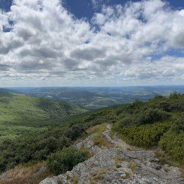 Southern Taconic views from Alander Mountain's open, grassy summit