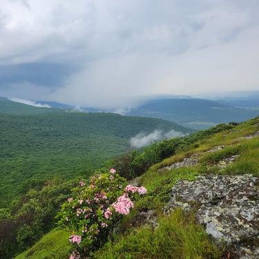 Southern Taconic views from Alander Mountain's open, grassy summit