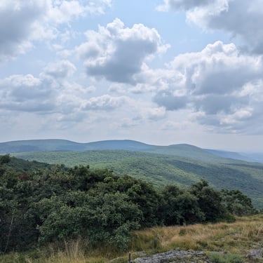 Southern Taconic views from Alander Mountain's open, grassy summit