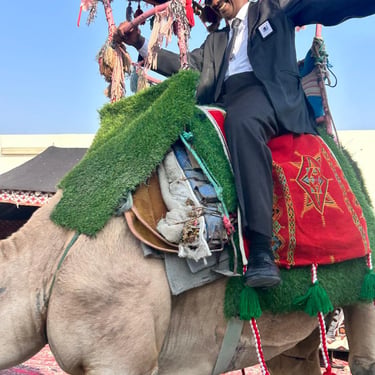 فعالية