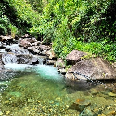 Mountain torrent Lai Chau North Vietnam