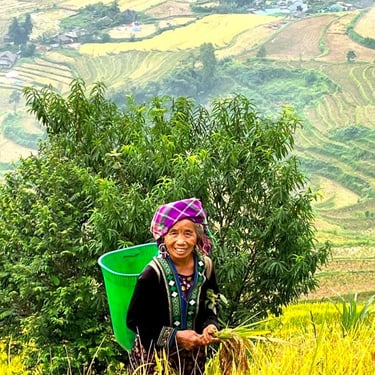 Ethnic minority woman Lai Chau North Vietnam