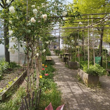 jardin place Pablo Picasso Villejuif