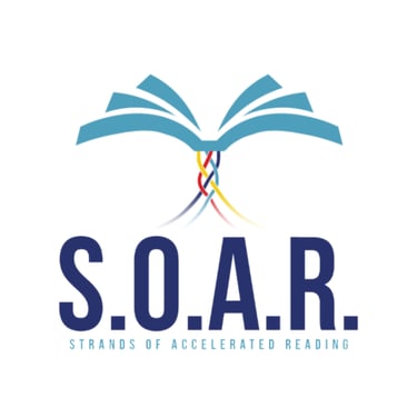 Strands Of Accelerated Reading 