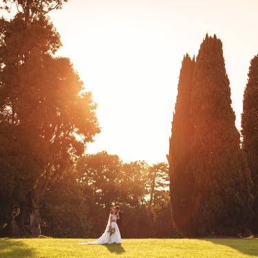 In un parco, con degli alberi maestosi ed eleganti, una coppia di sposi si abbraccia illuminati da un sole prima del tramonto