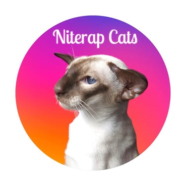 Niterap Cats website