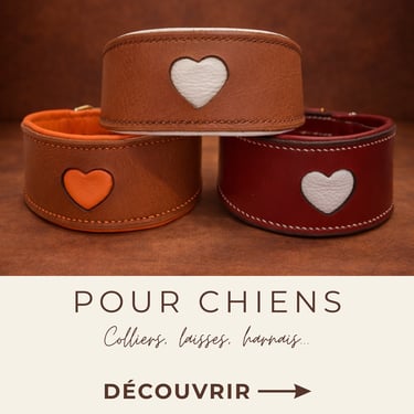Sellerie Etter artisan créations chiens colliers laisses harnais en cuir artisanal artisanat sellier