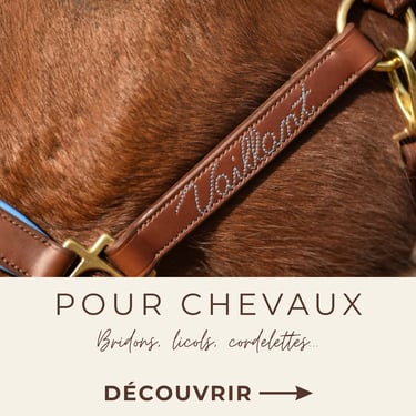 Sellerie Etter artisan sellier harnacheur France Suisse Genève chevaux équestre cuir créations